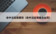 命中注定我爱你（命中注定我爱你台湾）
