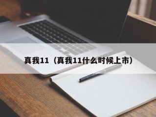 真我11（真我11什么时候上市）