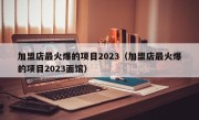 加盟店最火爆的项目2023（加盟店最火爆的项目2023面馆）