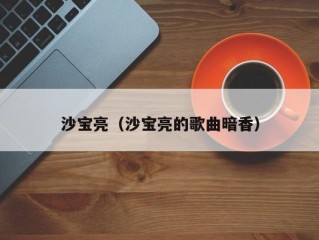 沙宝亮（沙宝亮的歌曲暗香）