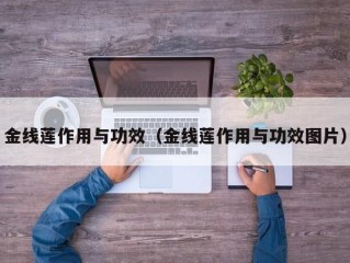 金线莲作用与功效（金线莲作用与功效图片）