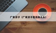 广末凉子（广末凉子是混血儿么）