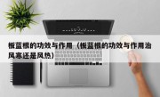 板蓝根的功效与作用（板蓝根的功效与作用治风寒还是风热）
