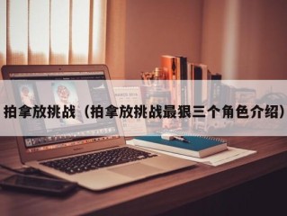 拍拿放挑战（拍拿放挑战最狠三个角色介绍）