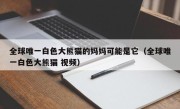 全球唯一白色大熊猫的妈妈可能是它（全球唯一白色大熊猫 视频）