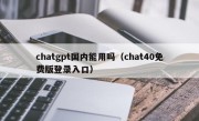 chatgpt国内能用吗（chat40免费版登录入口）