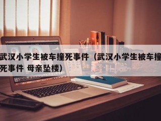 武汉小学生被车撞死事件（武汉小学生被车撞死事件 母亲坠楼）