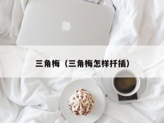 三角梅（三角梅怎样扦插）