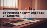 网友呼吁接回旅美大熊猫丫丫（旅美大熊猫丫丫什么时候回中国）