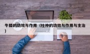 牛膝的功效与作用（杜仲的功效与作用与主治）