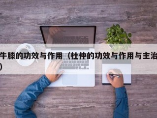 牛膝的功效与作用（杜仲的功效与作用与主治）