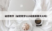 秘密教学（秘密教学110话我需要灭火吗）
