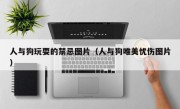 人与狗玩耍的禁忌图片（人与狗唯美忧伤图片）