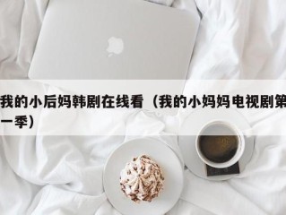 我的小后妈韩剧在线看（我的小妈妈电视剧第一季）