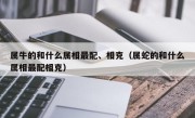 属牛的和什么属相最配、相克（属蛇的和什么属相最配相克）