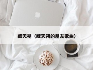 臧天朔（臧天朔的朋友歌曲）