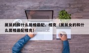 属鼠的和什么属相最配、相克（属鼠女的和什么属相最配相克）
