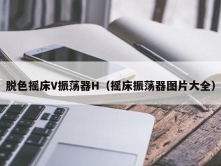 脱色摇床V振荡器H（摇床振荡器图片大全）