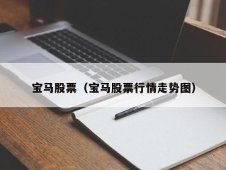 宝马股票（宝马股票行情走势图）