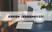 皮脂腺囊肿（皮脂腺囊肿挂什么科）