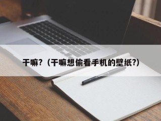 干嘛?（干嘛想偷看手机的壁纸?）