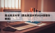 西北政法大学（西北政法大学2024录取分数线）