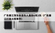 广东廉江发生故意伤人案致6死1伤（广东廉江打架斗殴事件）