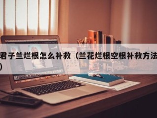 君子兰烂根怎么补救（兰花烂根空根补救方法）