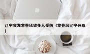 辽宁突发龙卷风致多人受伤（龙卷风辽宁开原）