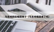马思纯回应瘦回来了（马思纯瘦回来了吗）