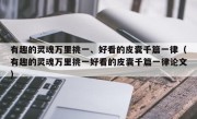 有趣的灵魂万里挑一、好看的皮囊千篇一律（有趣的灵魂万里挑一好看的皮囊千篇一律论文）