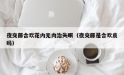 夜交藤合欢花内无肉治失眠（夜交藤是合欢皮吗）