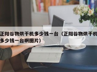 正阳谷物烘干机多少钱一台（正阳谷物烘干机多少钱一台啊图片）