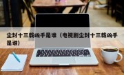 尘封十三载凶手是谁（电视剧尘封十三载凶手是谁）