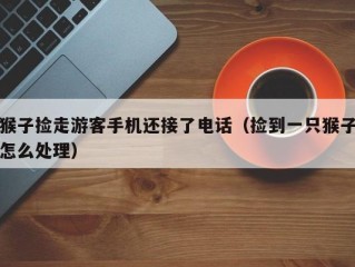 猴子捡走游客手机还接了电话（捡到一只猴子怎么处理）