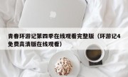 青春环游记第四季在线观看完整版（环游记4免费高清版在线观看）