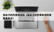 菟丝子的作用和功效（菟丝子的作用和功效用量是多少）
