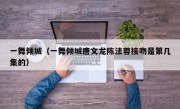 一舞倾城（一舞倾城唐文龙陈法蓉接吻是第几集的）