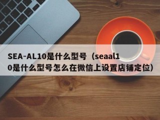 SEA-AL10是什么型号（seaal10是什么型号怎么在微信上设置店铺定位）