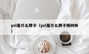 ysl是什么牌子（ysl是什么牌子杨树林）