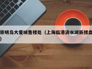 崇明岛大爱城售楼处（上海临港滴水湖新楼盘）