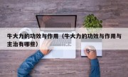 牛大力的功效与作用（牛大力的功效与作用与主治有哪些）