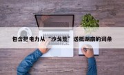 包含把电力从“沙戈荒”送抵湖南的词条