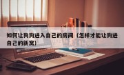 如何让狗狗进入自己的房间（怎样才能让狗进自己的新窝）