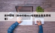 田中柠檬（田中柠檬811电视剧全集免费观看）