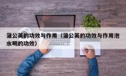 蒲公英的功效与作用（蒲公英的功效与作用泡水喝的功效）