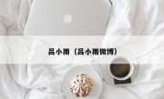 吕小雨（吕小雨微博）