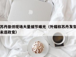 苏丹撤侨现场大量细节曝光（外媒称苏丹发生未遂政变）
