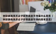 树欲静而风不止子欲养而亲不待是什么意思（树欲静而风不止子欲养而亲不待的简单意思）