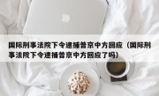 国际刑事法院下令逮捕普京中方回应（国际刑事法院下令逮捕普京中方回应了吗）